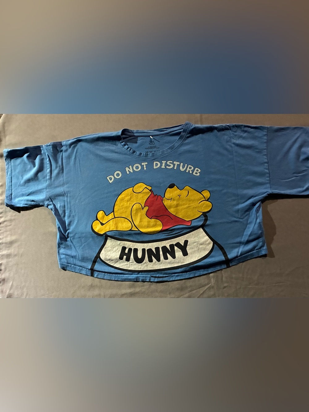 Disney Light Blue Winnie the Pooh Graphic Tee